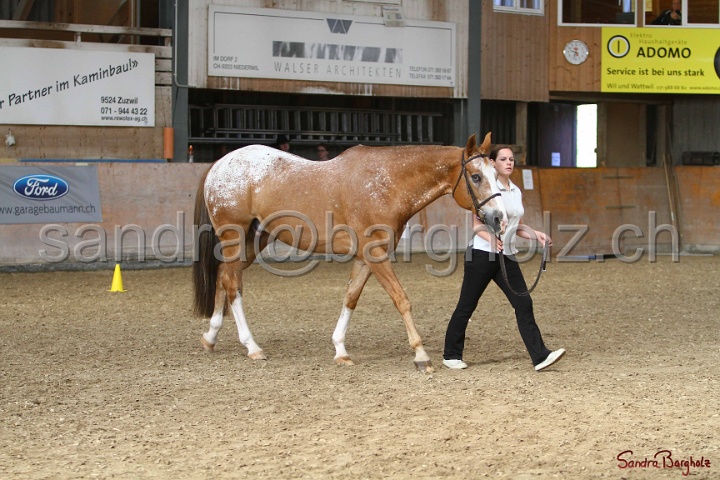 24-ApHC HIH_085.jpg